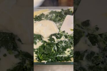 Delicious Lasagna with Kale & Leeks! 😍  #pasta  #italianfood