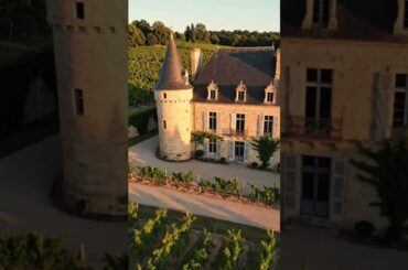 Italian Vineyards #travel #ytshorts #shorts #reels