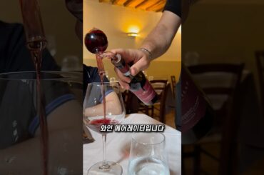 이탈리아의 명품 와인 에어레이터