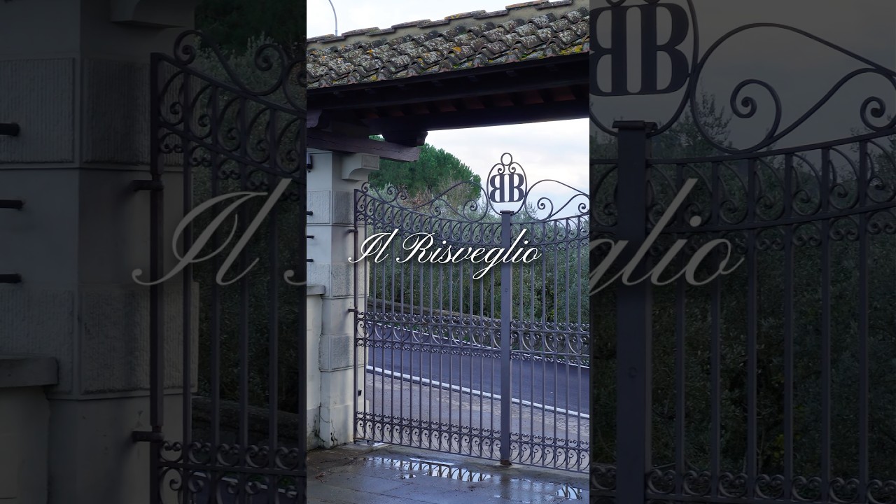 IL RISVEGLIO A TENUTE BELTRAMI. #shorts IL RISVEGLIO A TENUTE BELTRAMI. #shorts