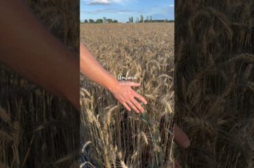 Discover Umbria Italy | Slow Life & Authentic Experiences 🇮🇹