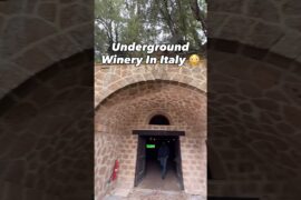 Worth It? #crazy #underground #italy #winery #orvieto #wine #travel #explore #fyp #restaurant #food
