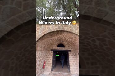 Worth It? #crazy #underground #italy #winery #orvieto #wine #travel #explore #fyp #restaurant #food