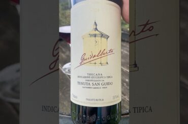 Tasting Tenuta San Guido's 2024 Guidalberto Toscana IGT - Definitely NOT a Second Wine #merlot