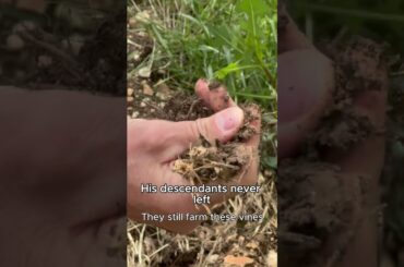 Dante’s Legacy, Poured as Amarone 🍷