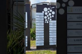 Легендарное вино 🍷 #италия #жизньвиталии #туризм #тревелвлог #калабрия #путешествия #городаиталии