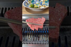 Miyazaki Wagyu Chateaubriand 🇯🇵 Kitan Minamisemba