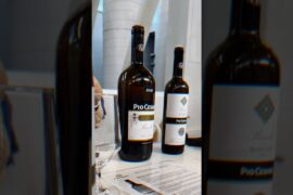 James Suckling Great Wines of the World 2026