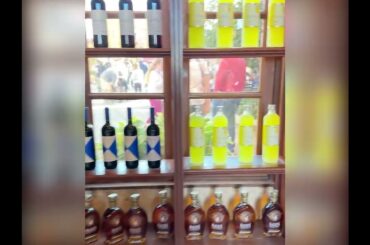 Epcot Italy Pavillion Enoteca Castello Wine Shop Hidden Mickey