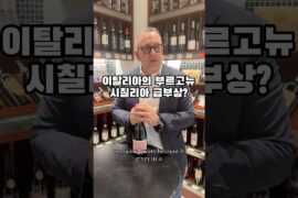 이탈리아의 부르고뉴, 시칠리아 유명해진 이유? #이태리와인 #와인 #와인추천 #wine #시칠리아와인
