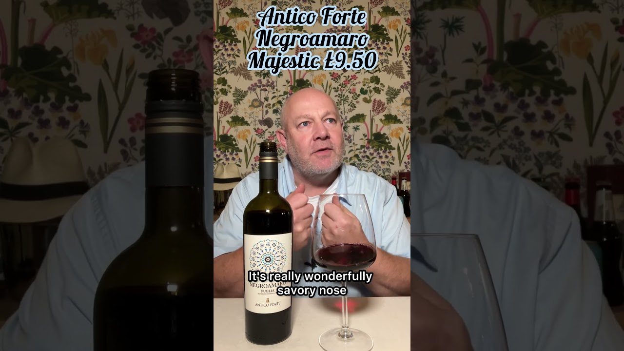 ONE MINUTE WINE REVIEW- a warming red from Puglia ONE MINUTE WINE REVIEW- a warming red from Puglia