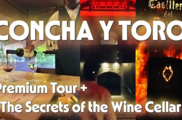 CONCHA Y TORO: The Legend of Casillero del Diablo & Premium Wine Pairing