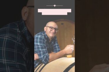 Winery Visit in Torino [Italy Travel 2026]