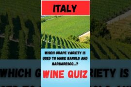 Wine Quiz Italy Question 3 #wine #quiz #italian grape varieties