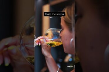 Wine Tasting in Cagliari [Italy Travel 2026]