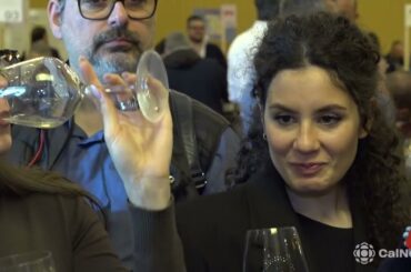 Paestum Wine Fest Business: conclusa la XV edizione tra B2B e nuove rotte del vino.
