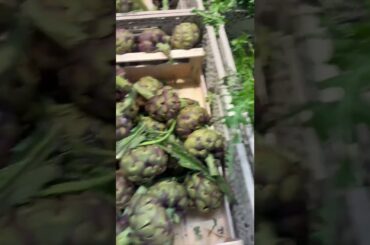 Ce gătim în Italia? #sofiabrindas #vlog #cooking #italianfood