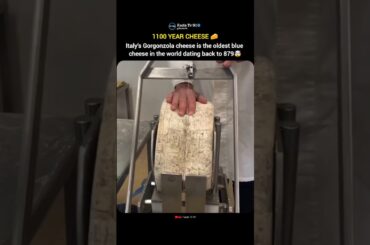 The Oldest Blue Cheese in the World