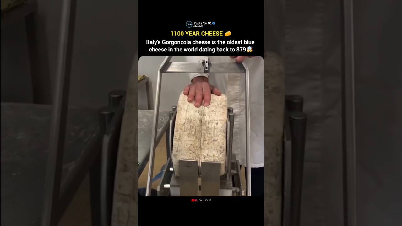 The Oldest Blue Cheese in the World The Oldest Blue Cheese in the World