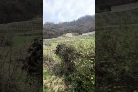 Under Cadena Small Castle still closer to the farming grape Fields create the best Italian Wine