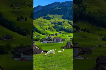 Joe Rogan Speaks On The Difference In Culture In America As Compared To Europe