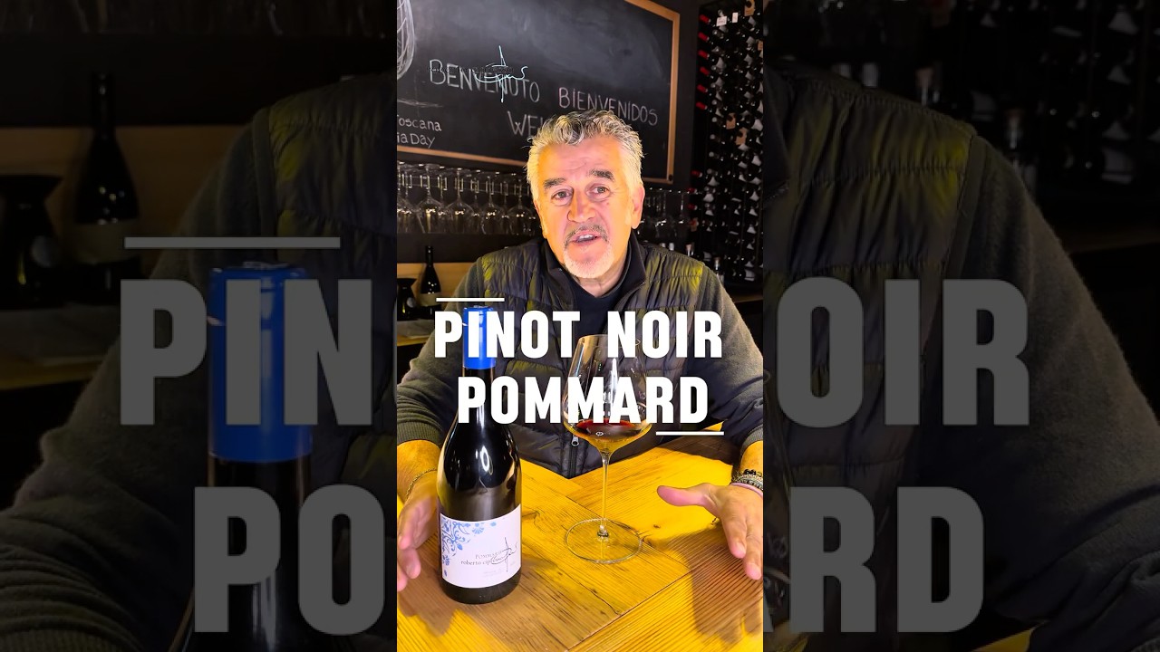 🇮🇹 🇺🇸Pinot Noir | Borgogna | Vino | Wine | Roberto Cipresso 🇮🇹 🇺🇸Pinot Noir | Borgogna | Vino | Wine | Roberto Cipresso