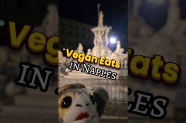 Vegan Food Naples Italy Green M'ama Delicious Burgers and More!