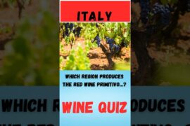 Wine Quiz Italy Question 9 #wine #quiz #italian wine regions