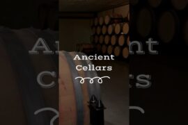 Tuscany Wine Secrets You Never Knew #italytravel #travel #europeantravel