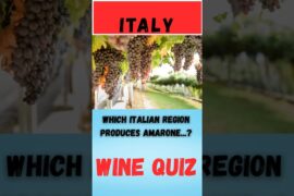 Wine Quiz Italy Question 11 #wine #quiz #litalian wine regions