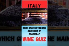 Wine Quiz Italy Question 13 #wine #quiz #litalian grape varieties