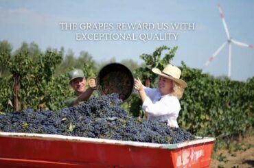 Introduction: Maria Faretra Wines