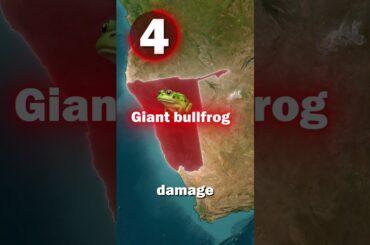 What is the most dangerous food in the world? 🌍