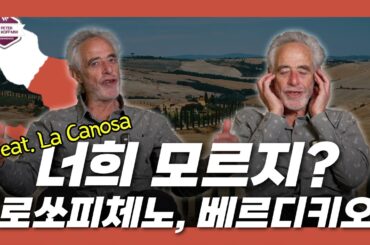 마르케 지역의 대표 DOC 피체노 로쏘 & 베르디끼오 데이 카스텔리 디 예시