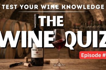 Test your WINE Knowledge with our QUIZ - WSET style wine questions (Episode #7)