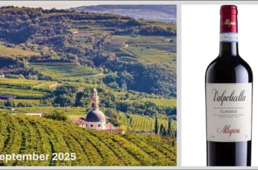 2025-09 Valpolicella wine region, Italy