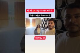 Wine 🍷 Factory in Italy - #shorts #short