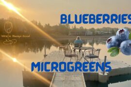 Blueberries sprouts and a martini | Couple's Waterside Cooking