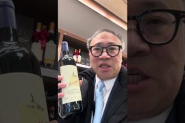 Wine Recommendation: Tenuta San Guido 2023 Guidalberto