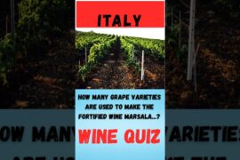 Wine Quiz Italy Question 16 #wine #quiz #litalian grape varieties