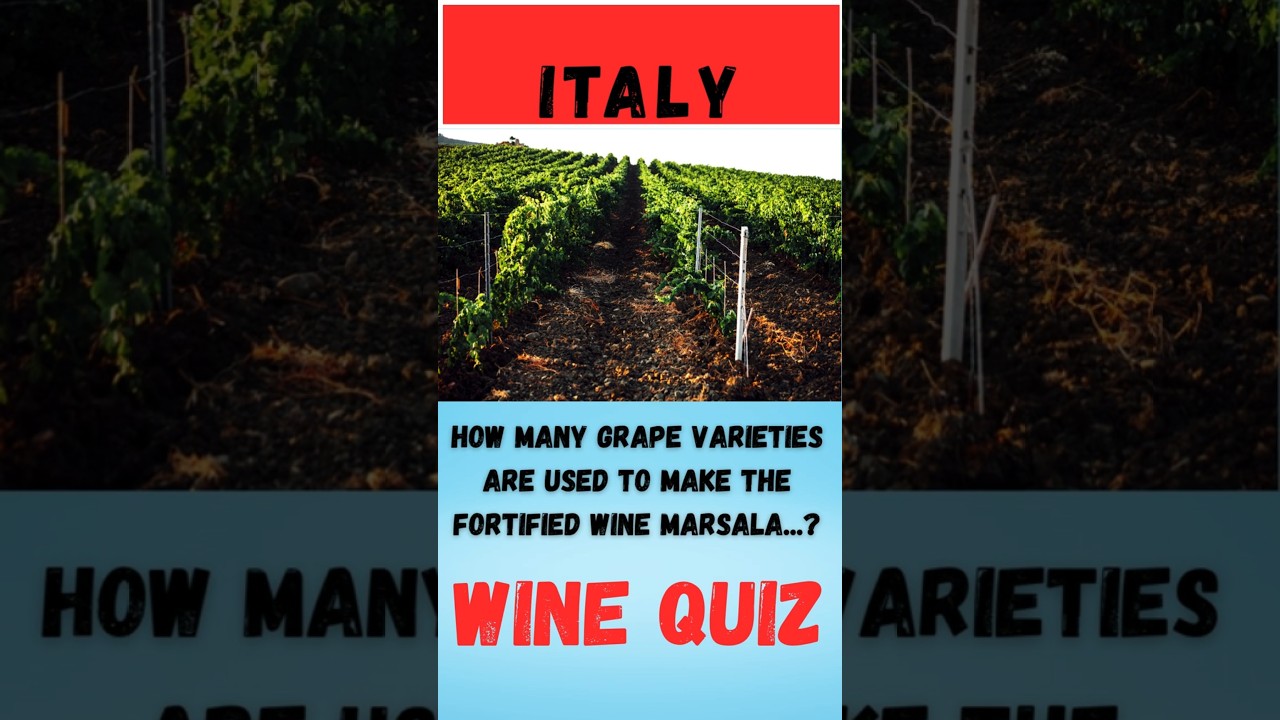 Wine Quiz Italy Question 16 #wine #quiz #litalian grape varieties Wine Quiz Italy Question 16 #wine #quiz #litalian grape varieties