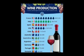 The Top 10 Wine Producing Countries in the World 🍷🌎