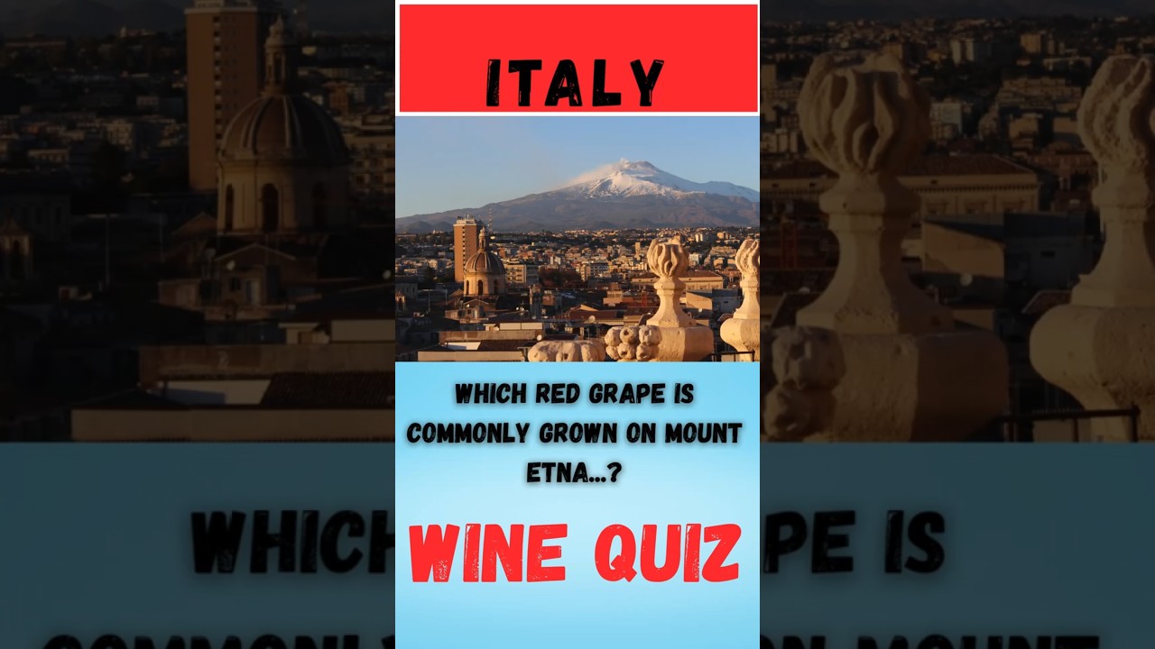Wine Quiz Italy Question 17 #wine #quiz #litalian grape varieties Wine Quiz Italy Question 17 #wine #quiz #litalian grape varieties