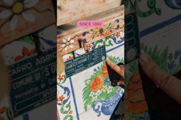 Olive Oil Tasting in Chieti [Italy Travel 2026]