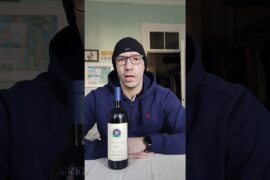 Культовое итальянское вино – Sassicaia