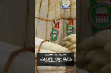 L' ASPARAGO BIANCO DOP PER CELEBRARE LA CUCINA ITALIANA PATRIMONIO UNESCO | 18/03/2026