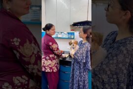 Aaj to Baani ne hee Bana Diya 10min Pasta Recipe #pasta #creamypasta #harjeetcooks #eveningsnacks