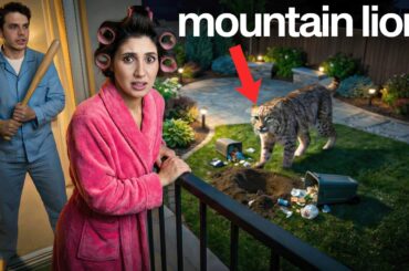 We Found a Real Mountain Lion in our New House!