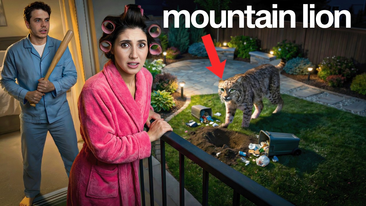 We Found a Real Mountain Lion in our New House! We Found a Real Mountain Lion in our New House!