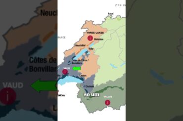 𝙏𝙝𝙚 𝙀𝙖𝙨𝙞𝙚𝙨𝙩 𝙒𝙖𝙮 𝙩𝙤 𝙐𝙣𝙙𝙚𝙧𝙨𝙩𝙖𝙣𝙙 𝙎𝙬𝙞𝙨𝙨 𝙒𝙞𝙣𝙚 𝙍𝙚𝙜𝙞𝙤𝙣𝙨